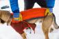 Preview: Ruffwear POWDER HOUND™ JACKET Persimmon Orange Gr. XL Preview: Ruffwear POWDER HOUND™ JACKET Persimmon Orange Gr. XL